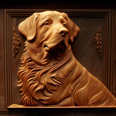 3D model st The Nova Scotia Retriever dog (STL)